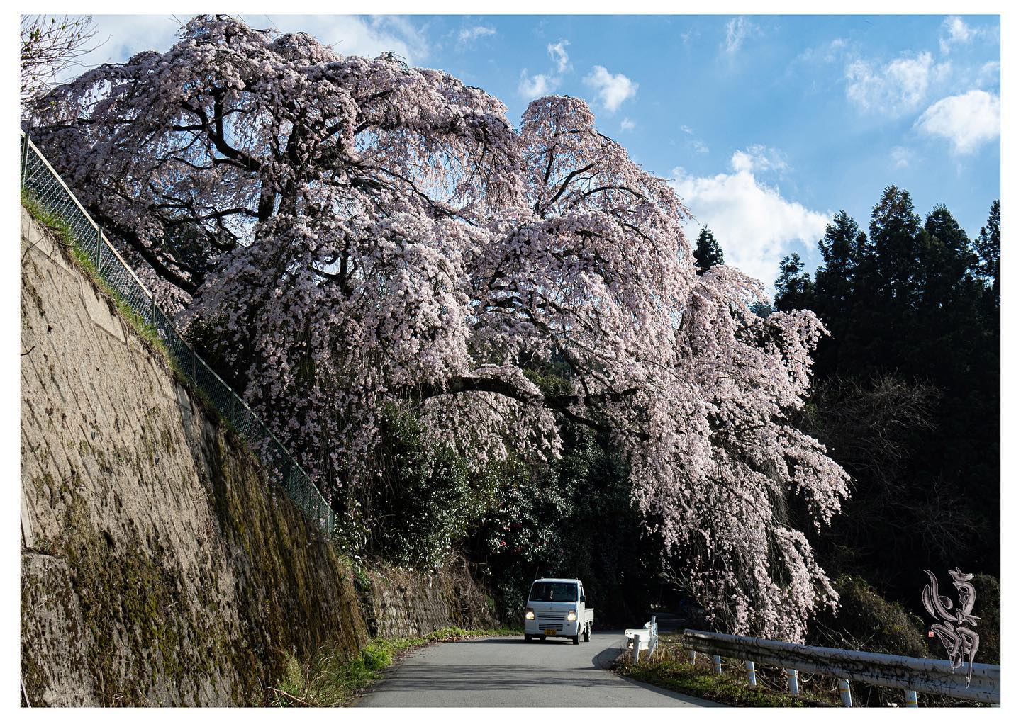 Instagram更新しました。 eg. おはようございます。「想いをカタチに」 和歌山のカメラマン、写真屋・はれのひ工房の末藤（スエトウ）です。4月にお持ちさせて頂くプリントは桜の写真三枚です。五条市のしだれ桜雨山の郷の桜並木中津川の石垣にかかる山桜です。今年は桜も足が早くてもう終わりつつありますが、桜散ってから始まる事が多いですよね。スタートを告げる桜、残り8ヵ月がよい方向に向きますように。写真屋・はれのひ工房はご希望の方にお店や病院やご家庭に飾る月々の写真を配達させて頂いています。また遠方の方には郵送させて頂いていますのでお気軽にお問い合わせ下さい。 – from Instagram